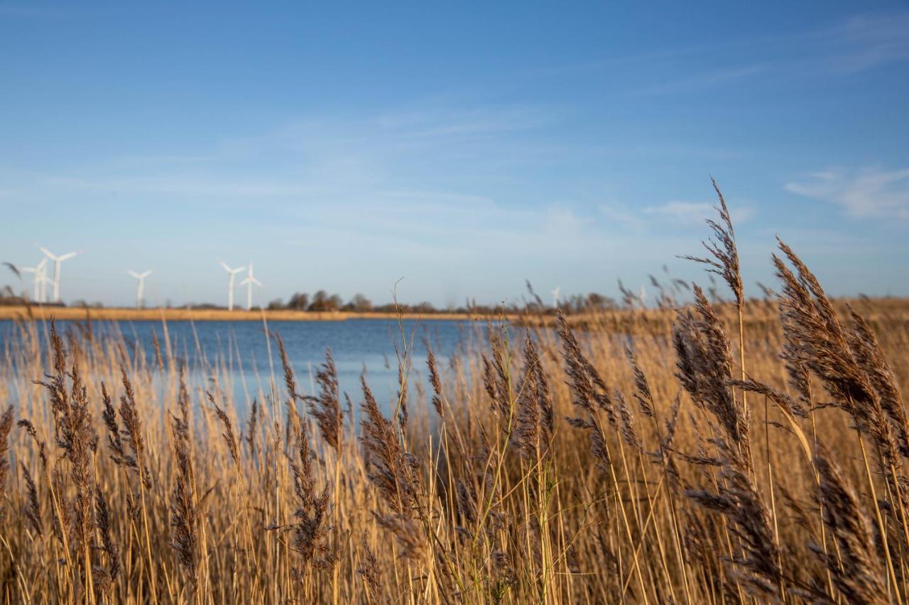 Daenisches Blockhaus Direkt Am Wangermeer Schillig Zewnętrze zdjęcie